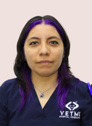 veterinario. MVZ EMCPG Elizabeth Meza Jiménez. Médico titlar